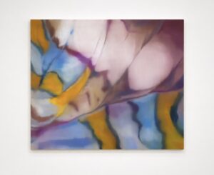 Collection preview image