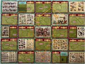 Collection preview image