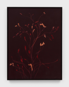 Low resolution preview of nights, 112